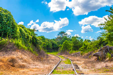 Train tracks disappear in to the green foliage on a beautiful spring dayの写真素材