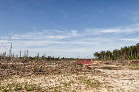 A red gate with no fence in a tree cleared lot in the forest - In rural Ga