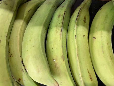 Row of plantains on display in a retail storeの写真素材