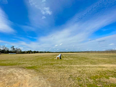 Burke County, Ga USA - 01 25 21: Open farm land in rural Georgia and blue sky backgroundのeditorial素材
