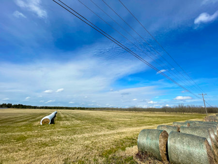Burke County, Ga USA - 01 25 21: Green beautiful farmland and hay balesのeditorial素材