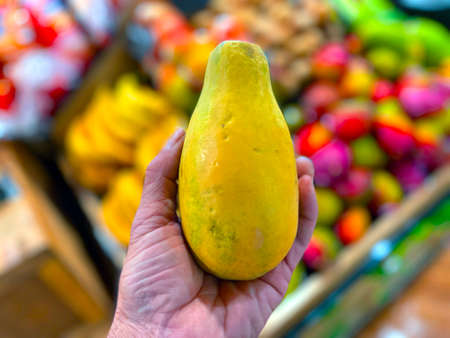 Grovetown, Ga USA - 05 10 22: Retail store produce hand holding Papayaの写真素材