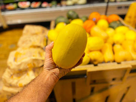 Grovetown, Ga USA - 05 10 22: Retail store produce hand holding yellow melonの写真素材