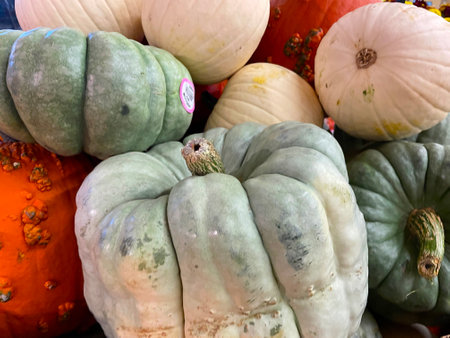 Halloween and fall seasonal decor colorful fall gourds display in a store
