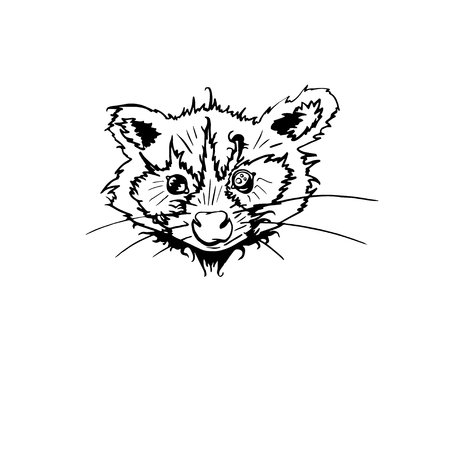 Raccoon isolated. Cute cartoon animal. Funny character. Vector. Black and white. Coloring book pages for adult, kids. Illustrationのイラスト素材
