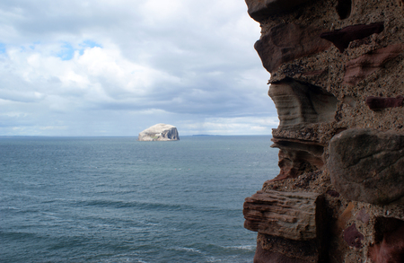 Bass Rock from Tantallonの写真素材