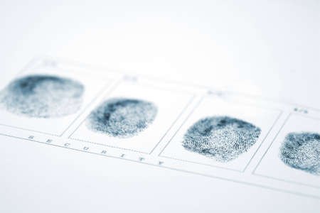 A fingerprint on a white sheet of paperの写真素材
