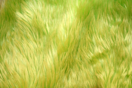 A green fur  as a nice backgroundの写真素材