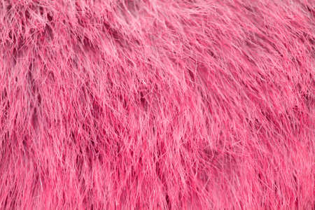 A pink fur  as a nice backgroundの写真素材