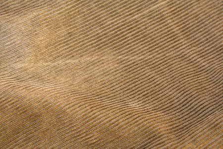 A corduroy material  as a nice backgroundの写真素材