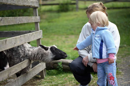 mother and child feeding sheepの写真素材