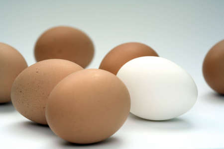some brown and one white eggs