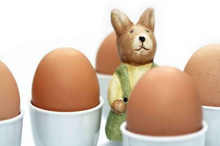 some eggs for easter and a easter bunnyの写真素材