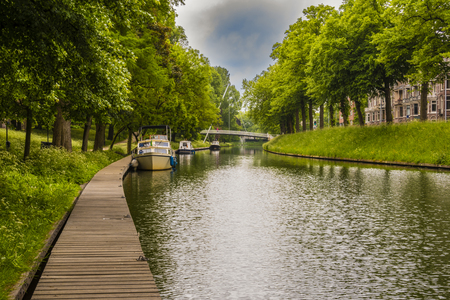 Landscape with trees on a canalの写真素材