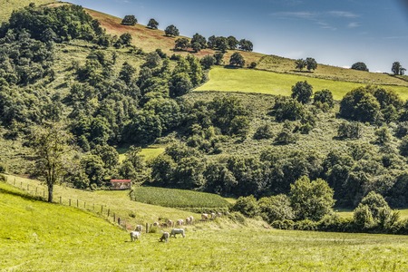 hill landscape in French navarro pyrenees. Aquitaine Franceの写真素材