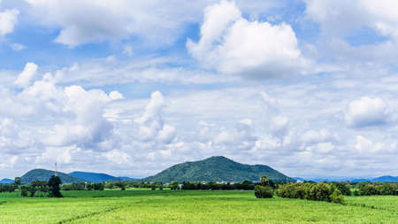 View of blue sky and beautiful white clouds with green meadow tree. Plain landscape background for summer poster. The best view of the holiday.の写真素材