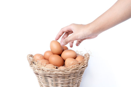 Close up of woman hand picking up eggs in the basket, suitable as a food ingredient. Fresh eggs from quality organic farms isolated on white background. Healthy food conceptの写真素材
