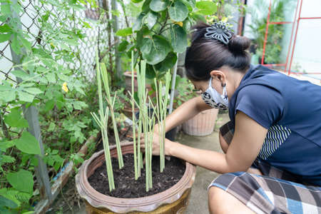 Young woman with upset expression looking at camera. Confused girl expressing distrust and suspicion, doubt and confusion. Woman with disgruntled face, worried and troubled uneasy, stare camera angryの写真素材