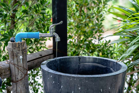 Green leaf plants climbing on red old brick wall texture background. Old weathered brick wall texture and ornamental plants outdoors against red bricks at the park of the house, gardening ideasの写真素材