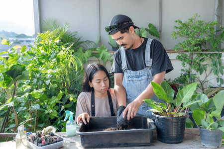Couple Asian man and woman wife and husband planting flowers together taking care of home plants real people domestic life family gardening concept copy spaceの写真素材