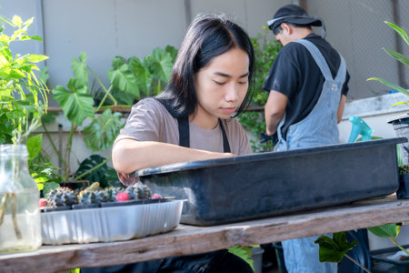 Cute Asian woman gardener is preparing the soil for transplanting plants into a new pot indoors at home while hobby activity with a man or couple together in the background. Concept of home gardenの写真素材