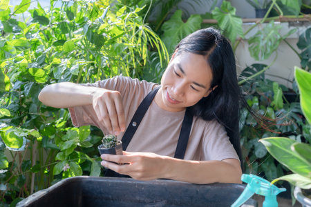 Cute Asian woman gardener is preparing the soil for transplanting plants or cactus into a new pot indoors at home while hobby activity, Concept of home gardenの写真素材
