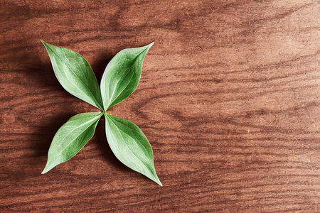 Four leaf clover on a blank wooden background. Generative AI illustration.の素材
