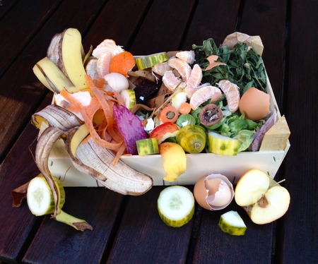 Fresh organic waste for composting