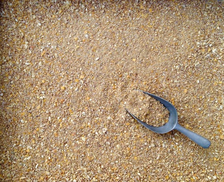 Chicken feedの写真素材