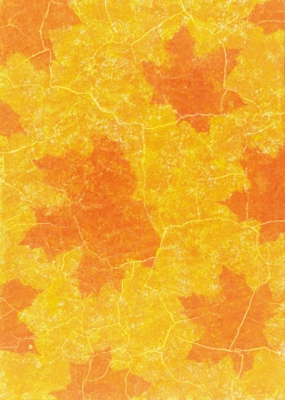 Maple leaves in grunge style on paperの写真素材