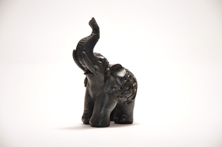 Elephantの写真素材