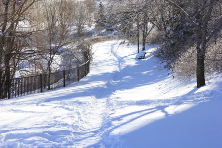 Winter Trailの写真素材