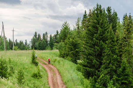 road near the forest. A dirt road with growing Christmas trees on the edges, green grass and gray clouds in the sky. High quality photoの写真素材