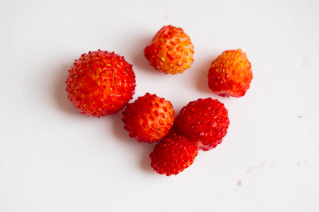 Vitamin useful tasty berries. The gifts of nature to humans.の写真素材