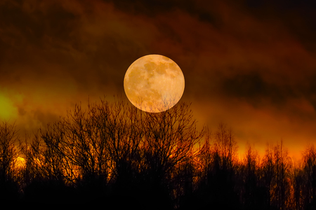 Landscape of night nature at sunset.の写真素材