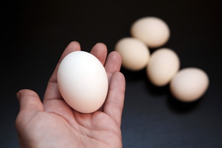 Natural rustic food that gave birth to birds. Easter still life eggs clean.
