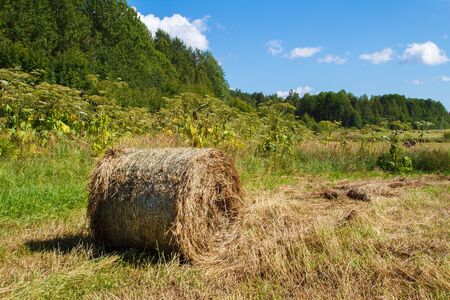 A haystack in a farmers field.の写真素材