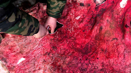 A hunter cuts off the skin of a killed animal in the forest.