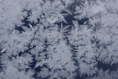 Snowflakes frozen on the window.