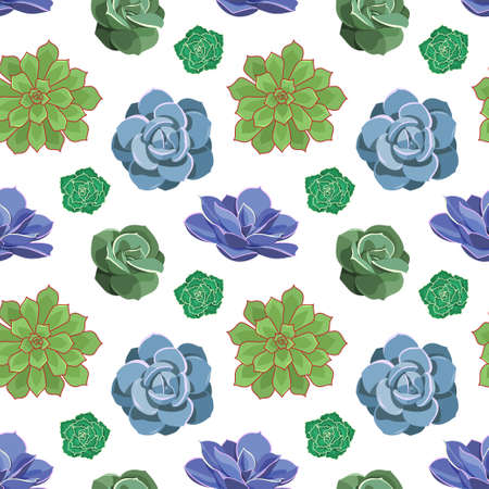 Seamless pattern of colored succulents of Echeveria. Desert flowers in cartoon style for print and design. Floral ornament of indoor plant. Vector illustration, colorful elements on a white backgroundのイラスト素材