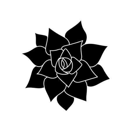 Succulent echeveria in simple style, vector illustration. Desert flower for print and design. Silhouette mexican plant, graphic isolated element on white background. house plant for decor interiorのイラスト素材