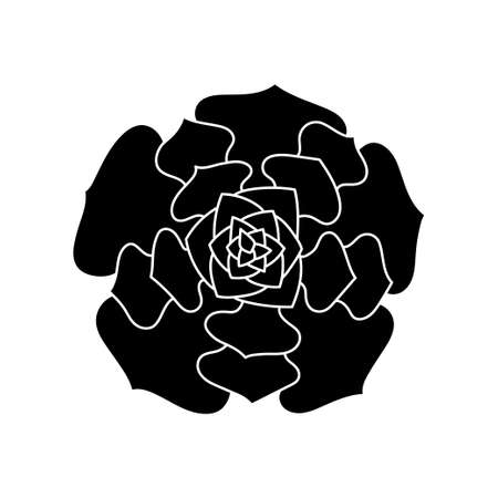 Succulent echeveria in simple style, vector illustration. Desert flower for print and design. Silhouette mexican plant, graphic isolated element on white background. house plant for decor interiorのイラスト素材
