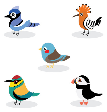 collection of cute bird, cartoon style .のイラスト素材
