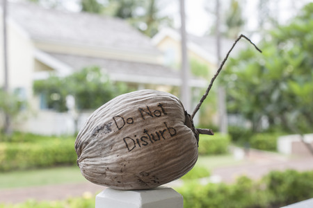 In resort ,write the word \" Do not disturb\" on the dried coconutの写真素材