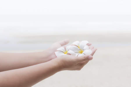 The solf and dreamy  hands with white flowers frangipani (plumeria)  against the sea beachの写真素材