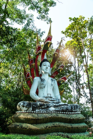 Seated buddha image protected by the seven-headed naga.の写真素材