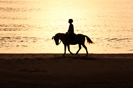 Silhouette of horseriding along sea coastlineの写真素材