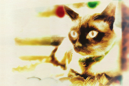 Digital painting ,Portraits of cat.の写真素材