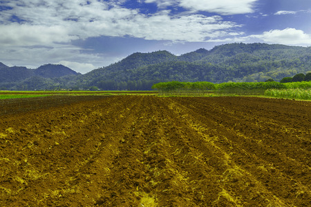 Agricultural farm land has been tilled and weeded in preparation for planting.の写真素材
