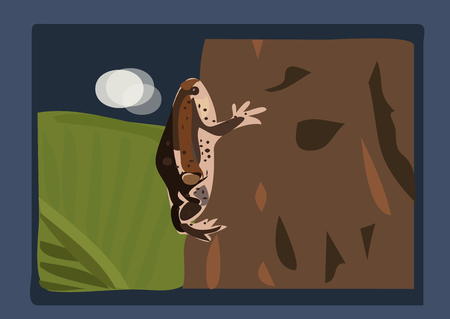 The bullfrog cattoon, climb on the tree at midnightのイラスト素材